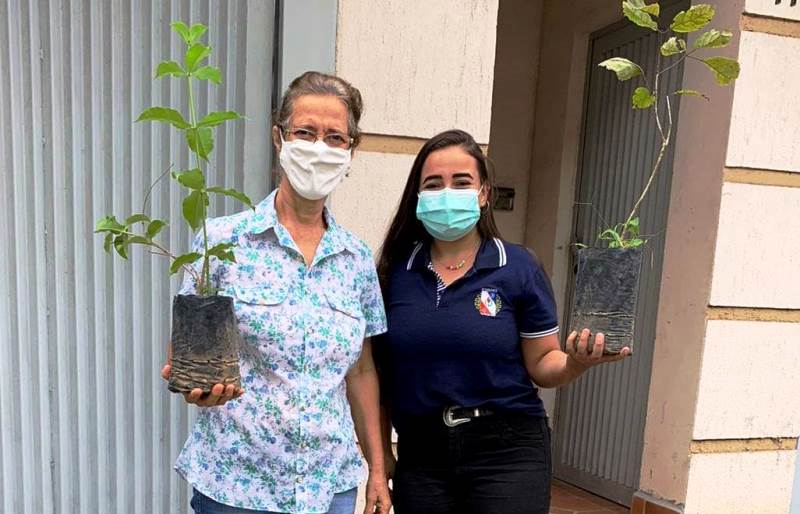 Prefeitura de Fabriciano oferece serviço de entrega gratuita de mudas com “Alô Verde”