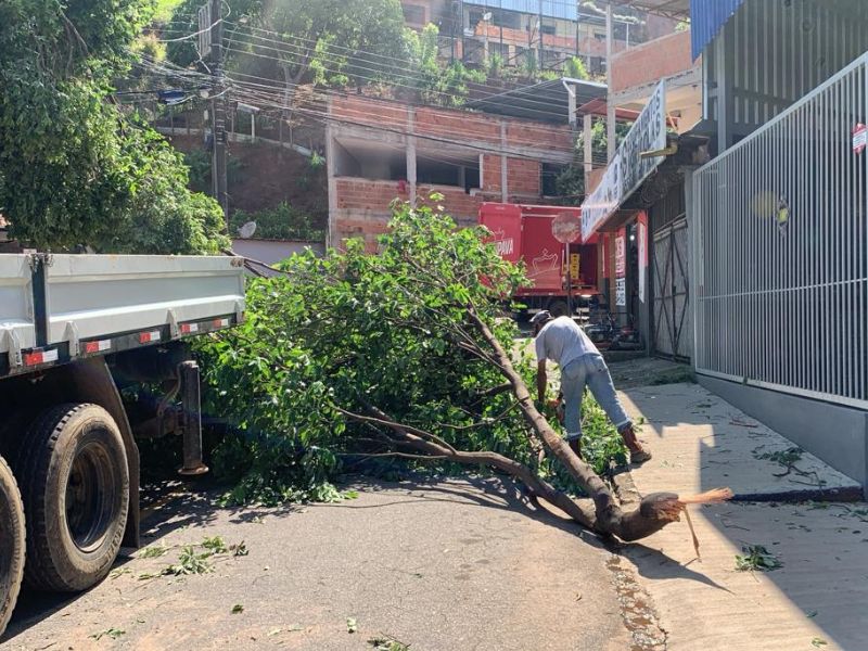 Defesa Civil de Fabriciano trabalha para atender chamados e liberar trechos atingidos por chuva e ventania