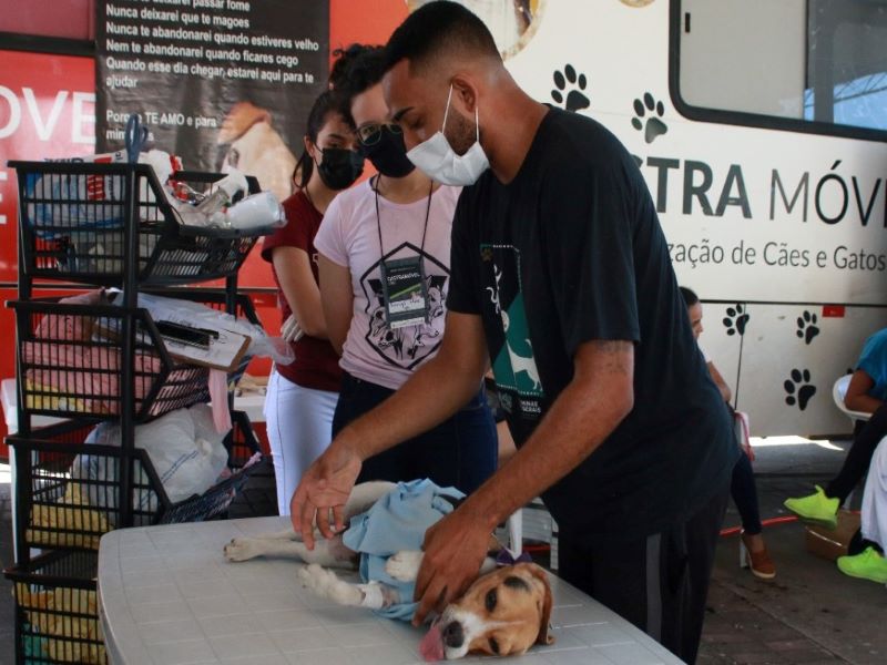 Fabriciano lança programa gratuito de castração de pets