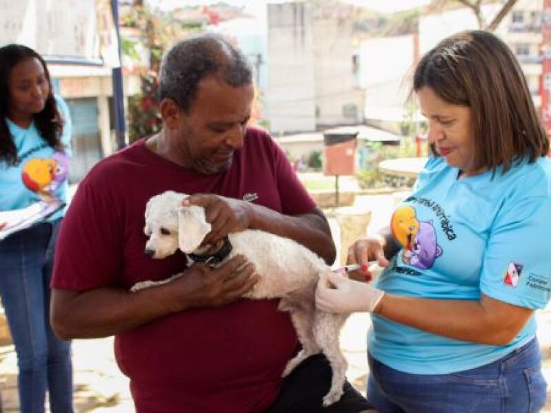 Prefeitura de Coronel Fabriciano continua campanha de vacinação antirrábica