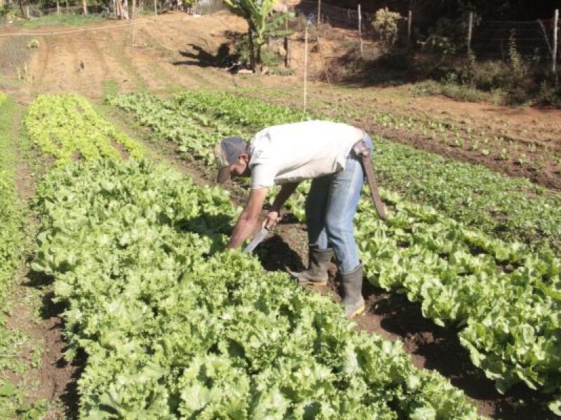 Prefeitura de Coronel Fabriciano discute ampliação da agricultura  familiar