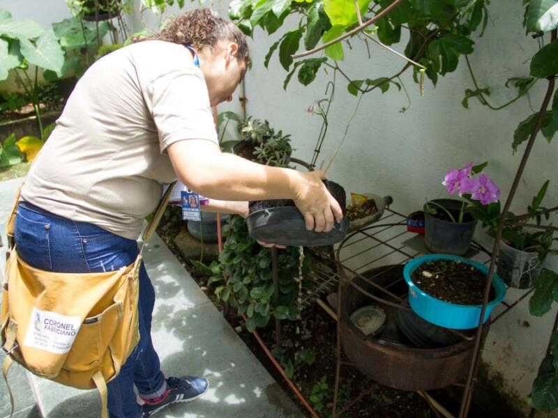Coronel Fabriciano apresenta risco médio de transmissão da dengue no terceiro LIRAa de 2025