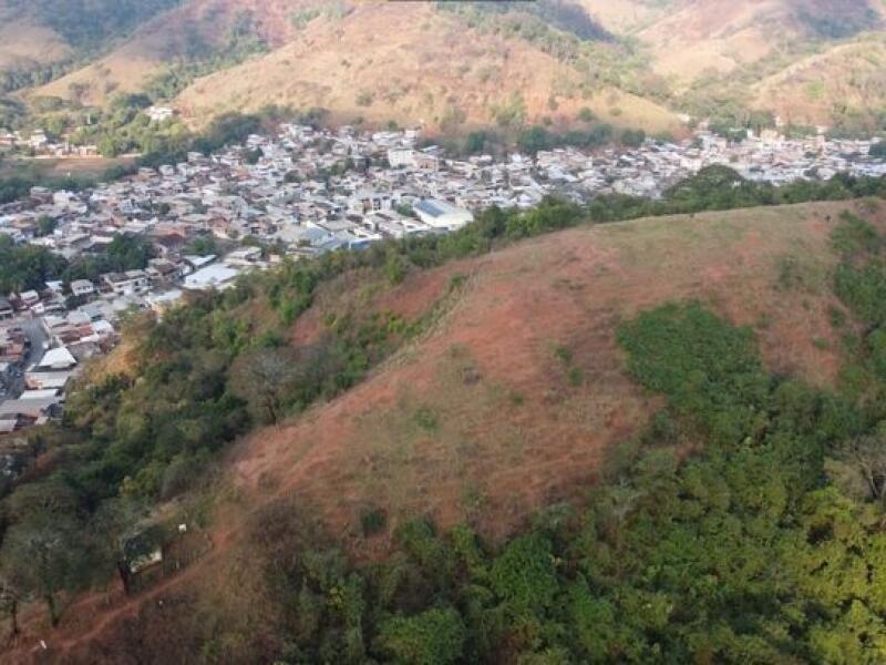 Coronel Fabriciano lança Refloresta Fabri e prevê plantio de quase 500 mil mudas nativas